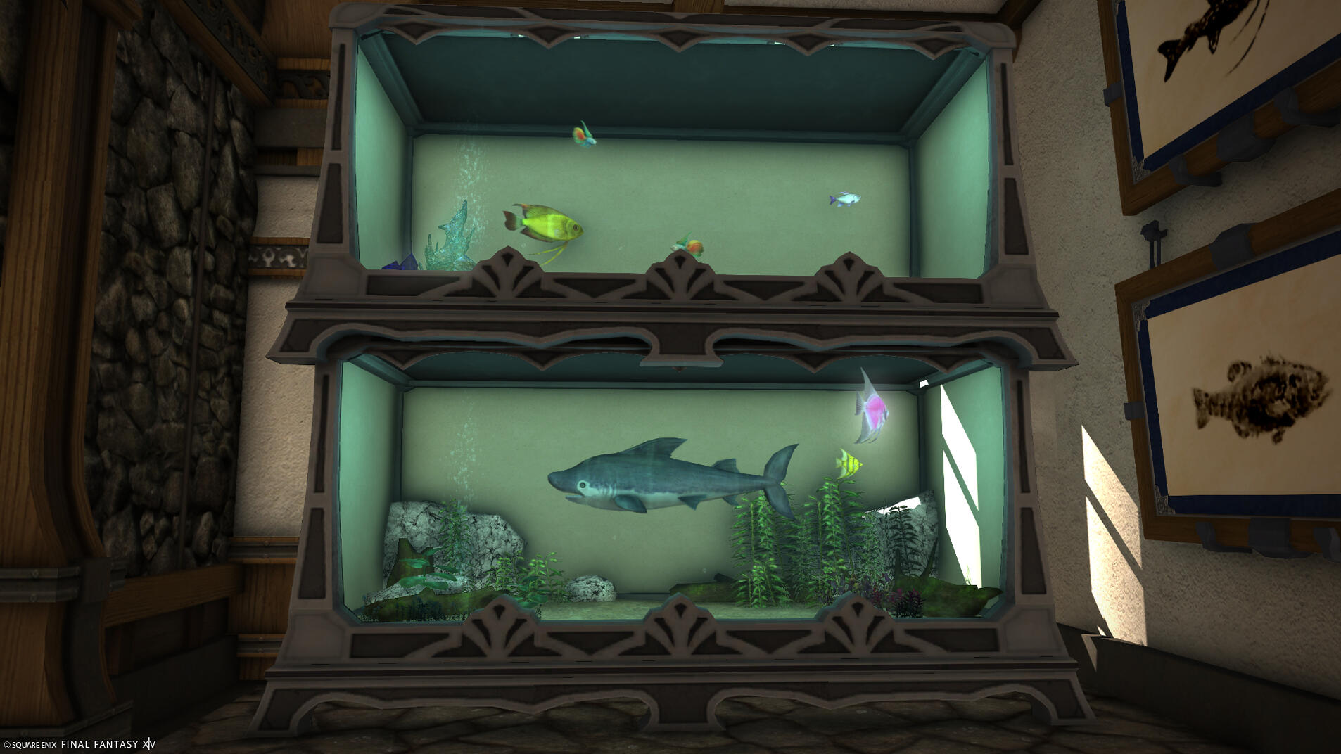 Azim Steppe live fishes